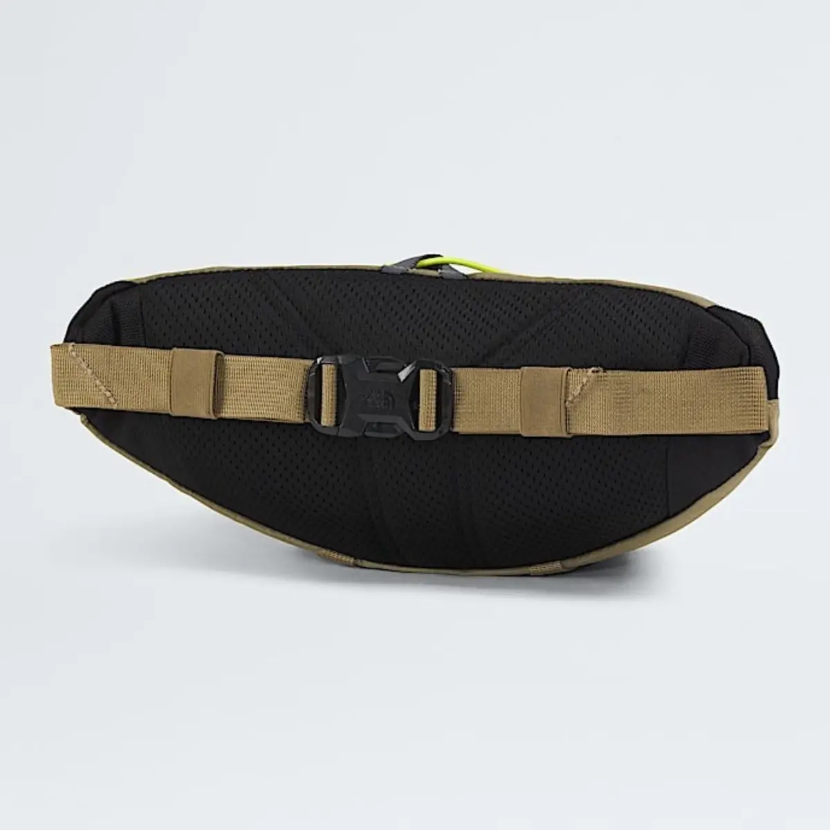 Terra Lumbar—3L 2