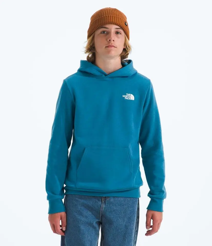 Teen Evolution Box Nse Pullover Hoodie 1