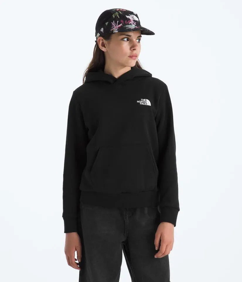 Teen Evolution Box Nse Pullover Hoodie 1
