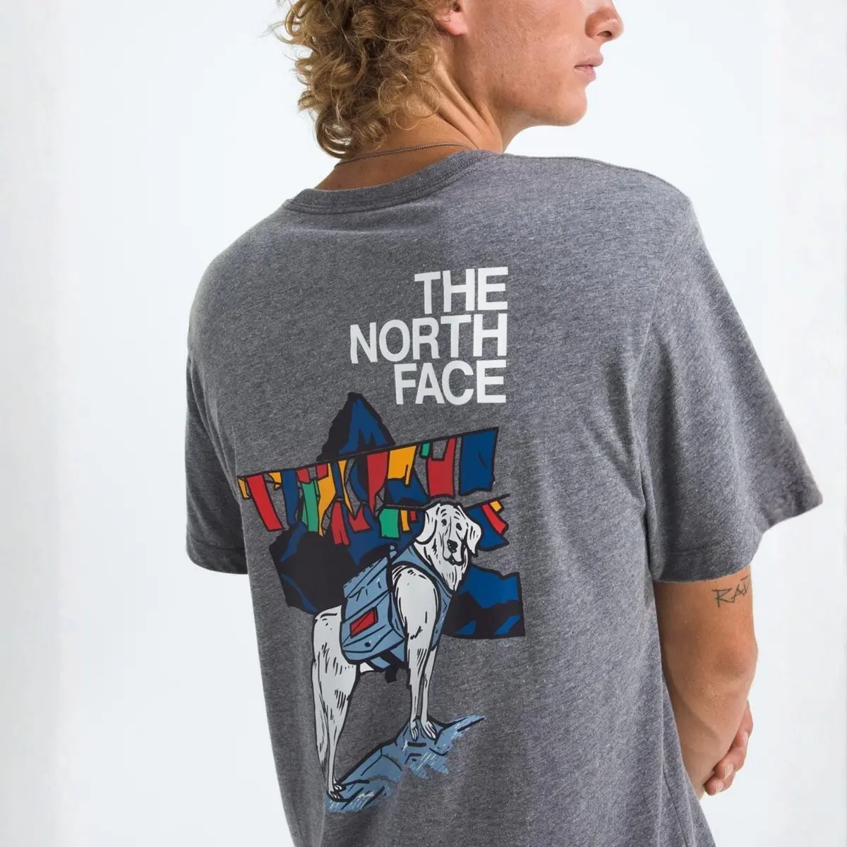 Men's Sunlit Summit Regular Short-Sleeve Tee 1
