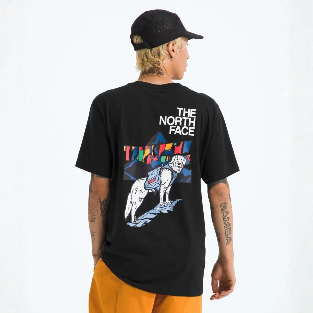 Men's Sunlit Summit Regular Short-Sleeve Tee 2