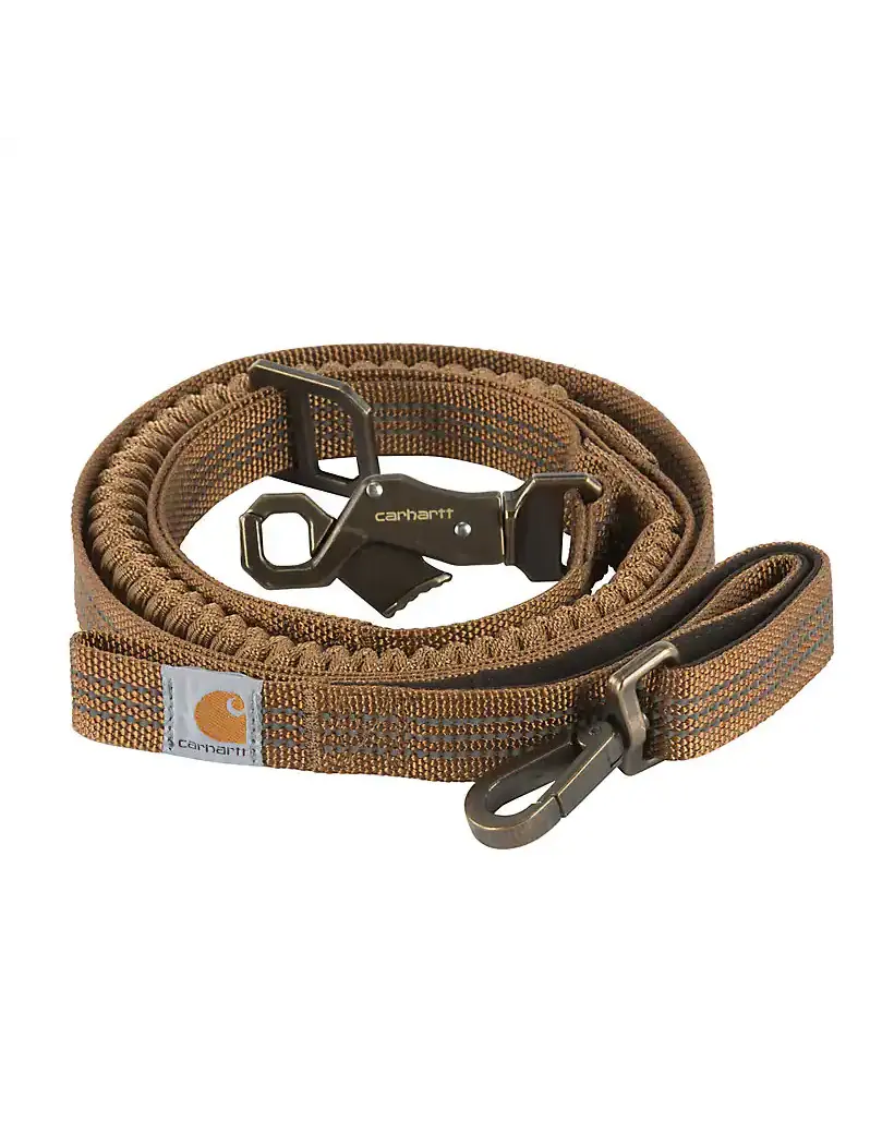 Shock Absorbing Dog Leash 1