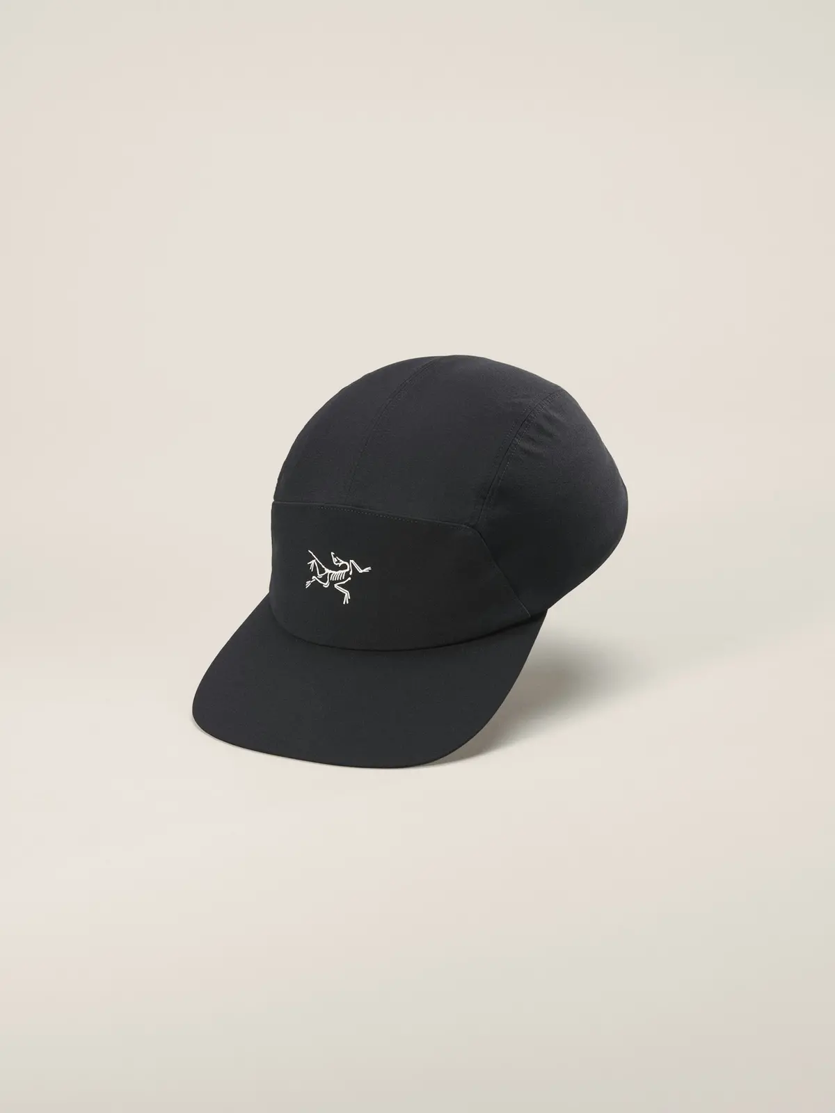 Gamma 5 Panel Cap 1