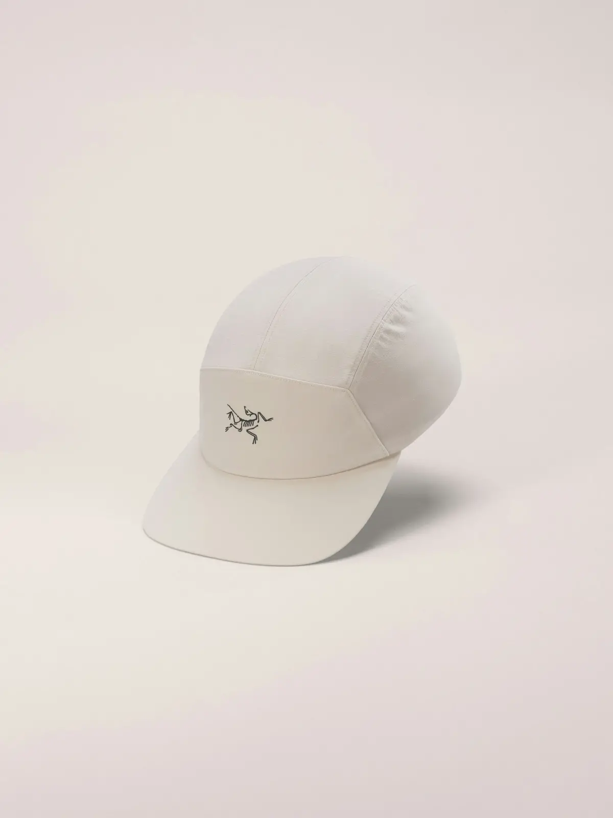 Gamma 5 Panel Cap 1
