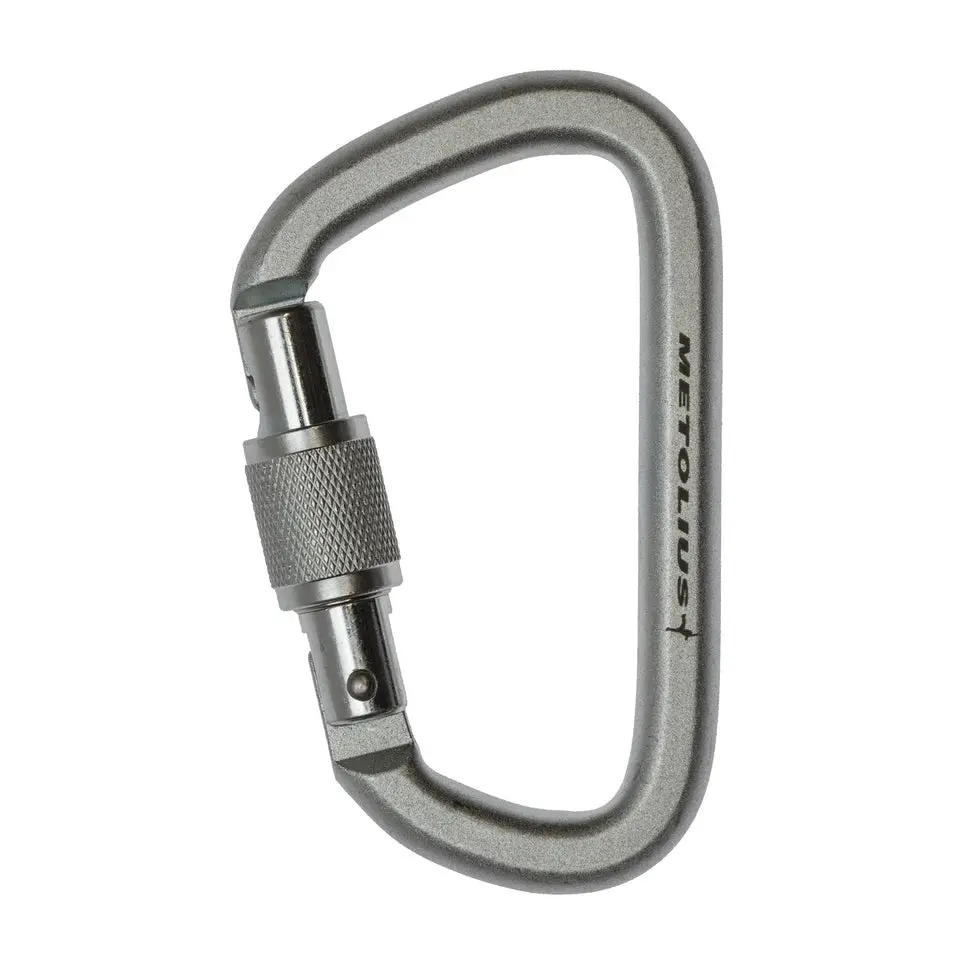 Steel Screw Lock Carabiner 1