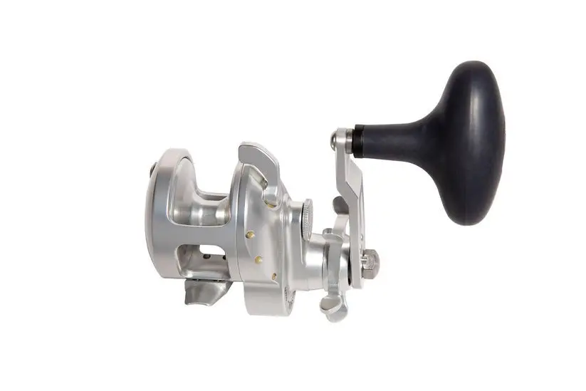 Tern 2 300 6:1 Star Drag Left Conventional Reel - (Txd-300Xl) 1