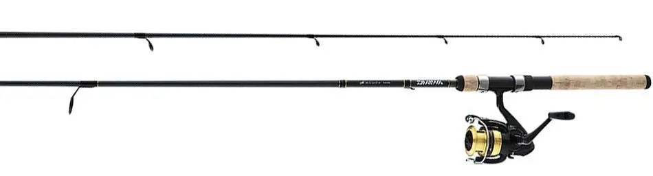 D-Shock 6'0" Medium Light 2-Piece Pre-Spooled Freshwater Spinning Combo - (Dsk20-B/F602ml-8C) 1