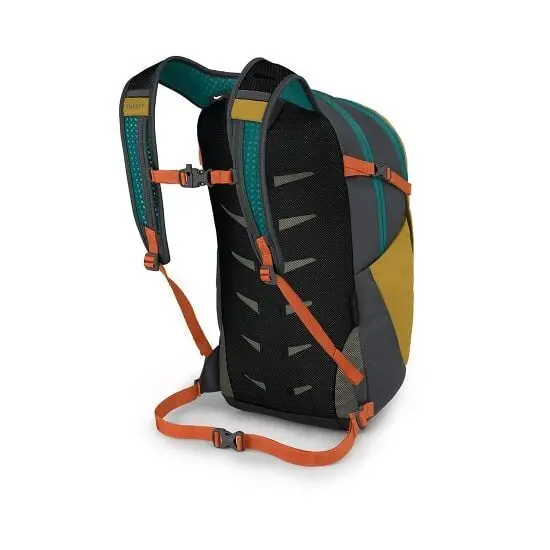 Daylite Plus Backpack 2