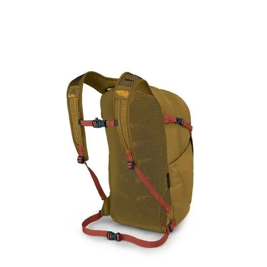 Daylite Plus Backpack-Limited Edition 2