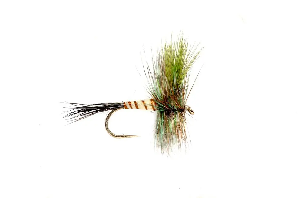 Eastern Green Drake - (#10) 1