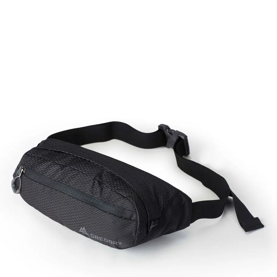 Nano Waistpack Mini 1