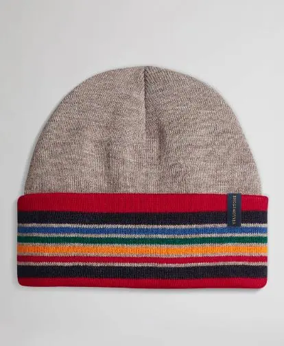National Park Stripe Beanie 1
