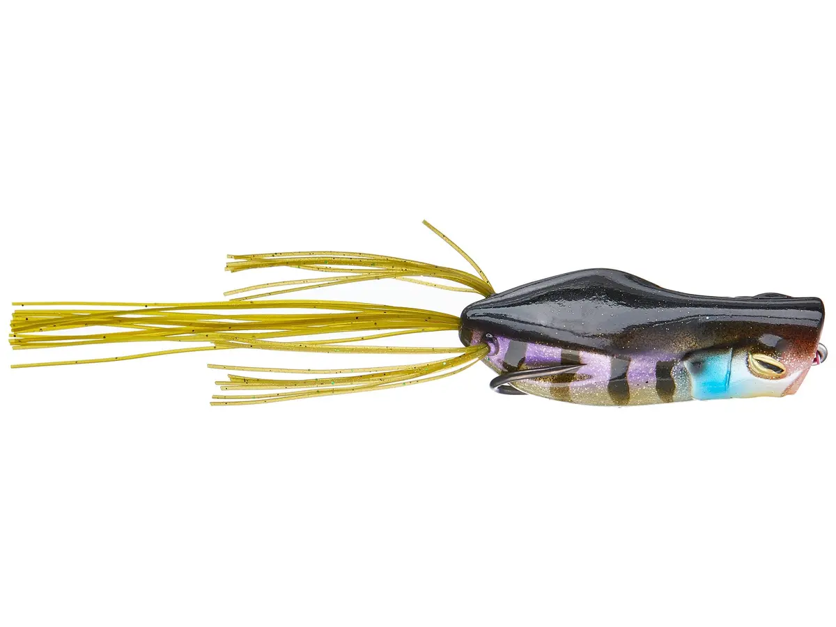 Gavacho Frog - (2-3/4 Inch) 1