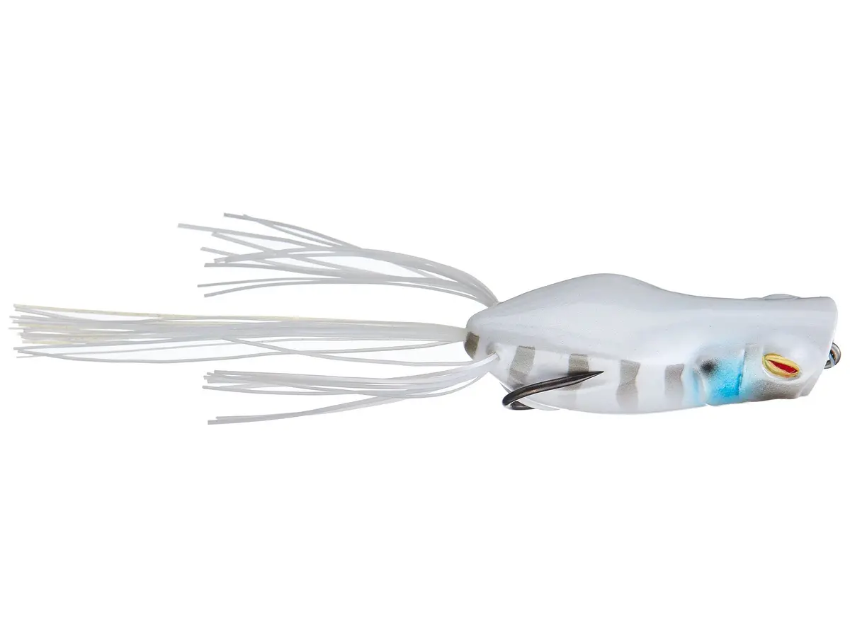 Gavacho Frog - (2-3/4 Inch) 1