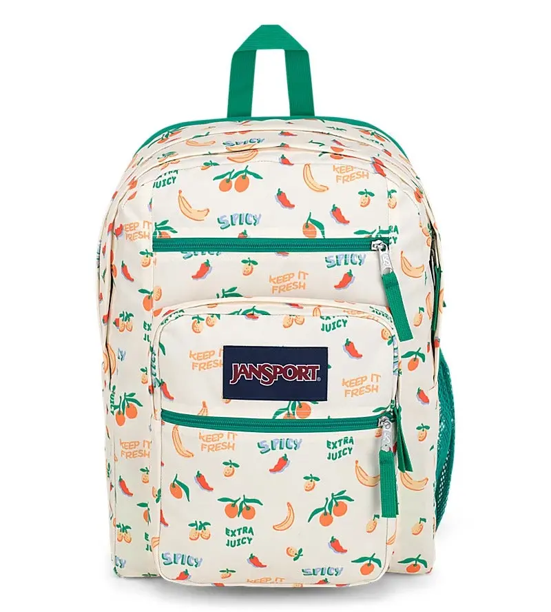 Big Student Backpack 1