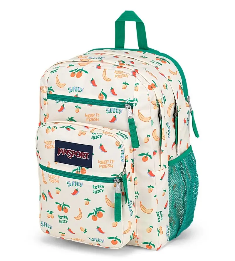 Big Student Backpack 2