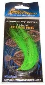 Double Hook Fluke Rig 1