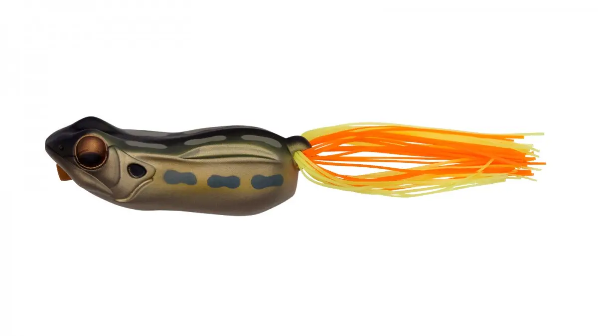Big Gabot Hollow Body Frog 1