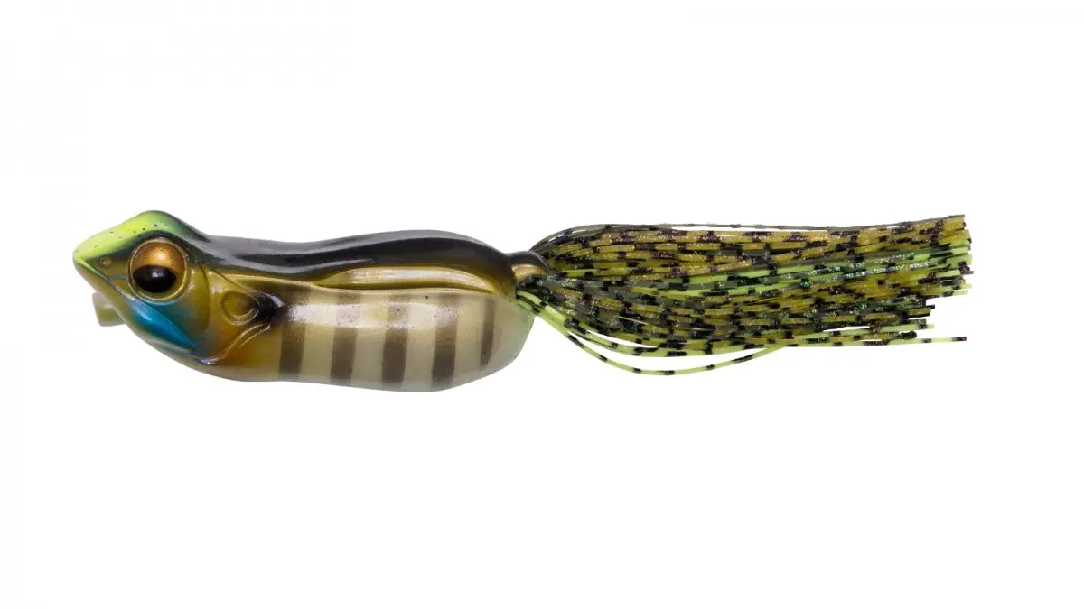 Big Gabot Hollow Body Frog 1
