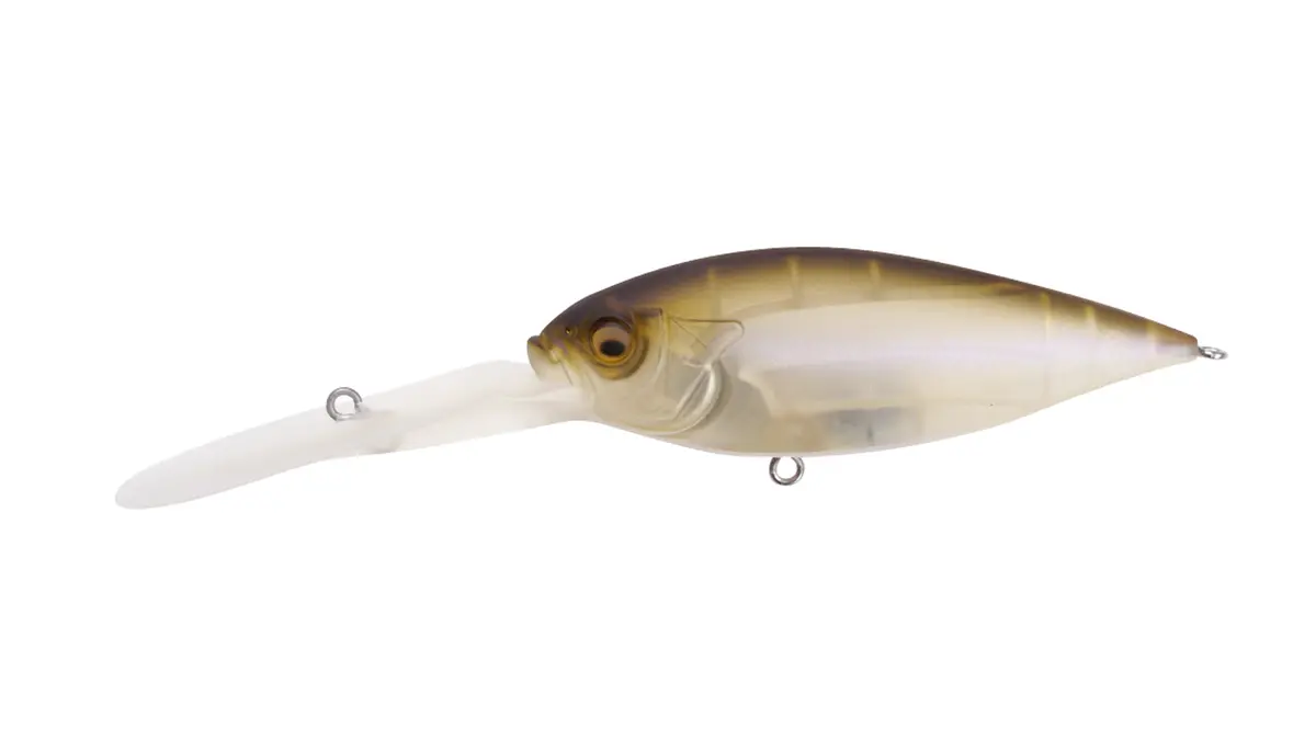 Deep-Six Crankbait 1