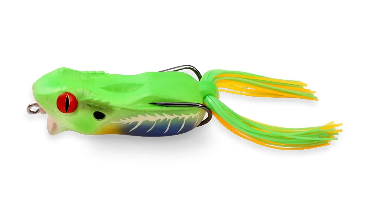 Gabarin Jr. Frog 1
