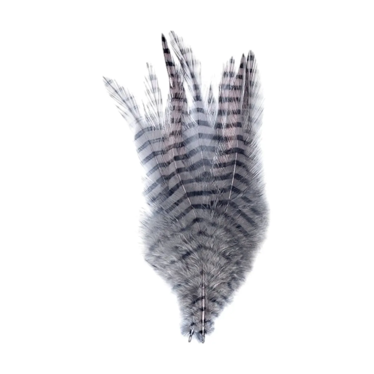 Barred Saddle Hackle 1