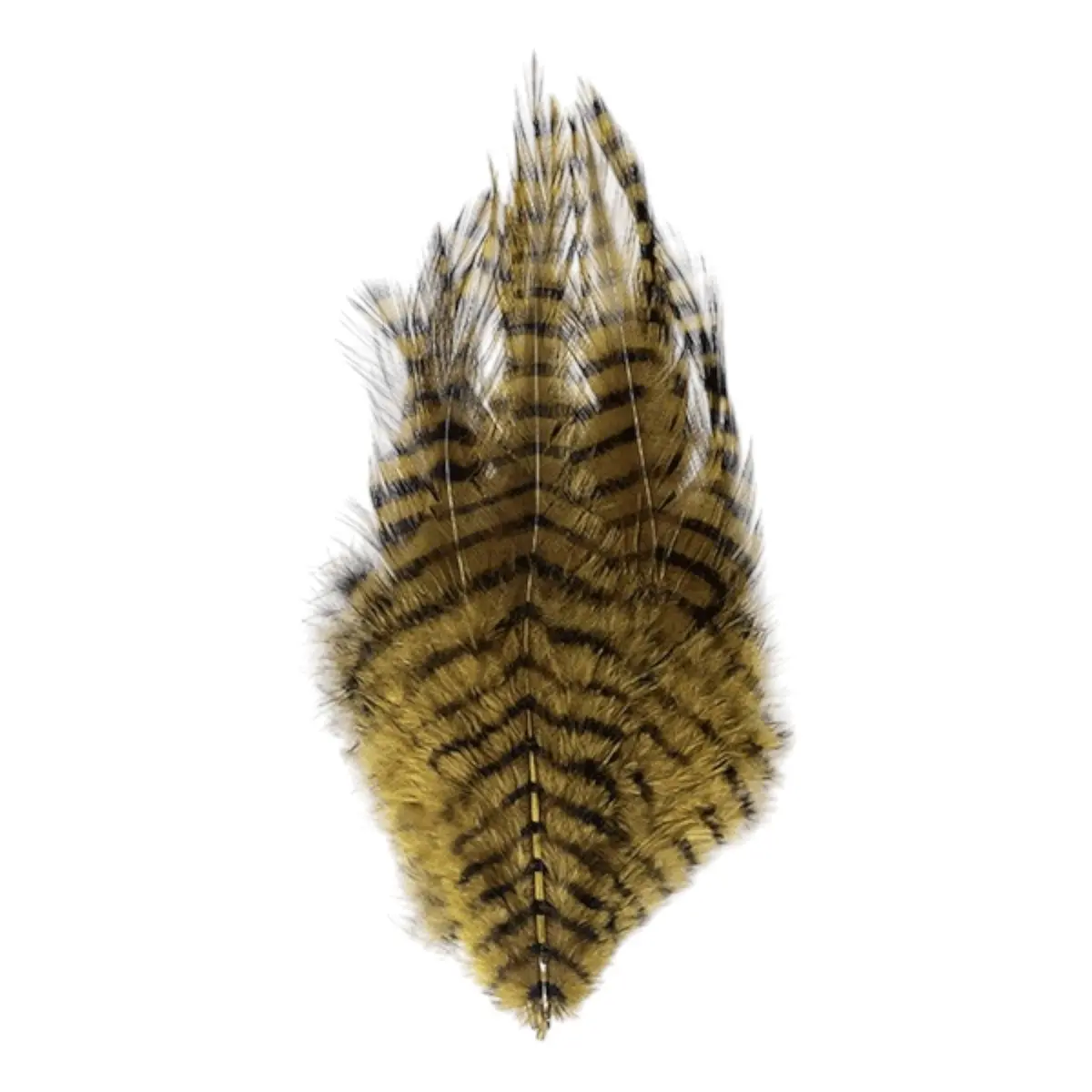 Barred Saddle Hackle 1