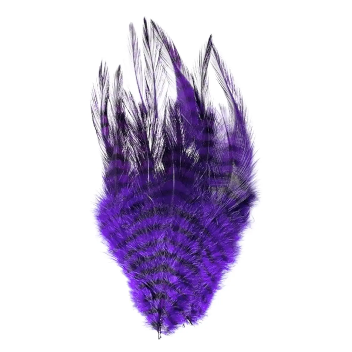 Barred Saddle Hackle 1