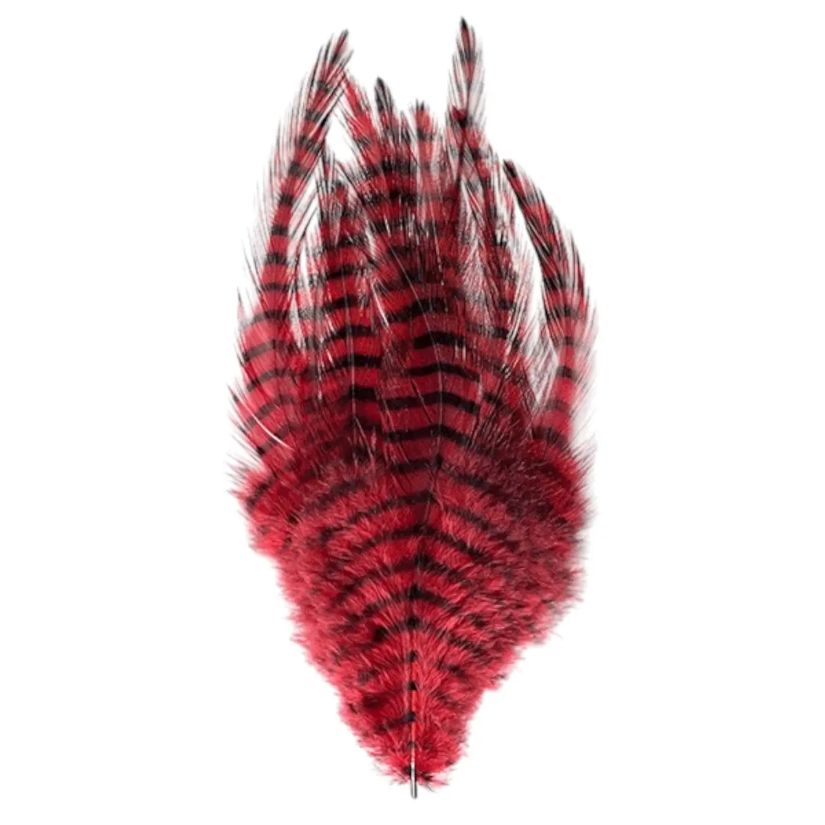 Barred Saddle Hackle 1