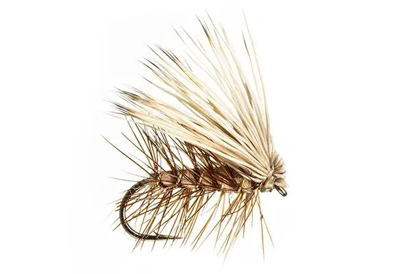 Elk Hair Caddis - (#14) 1