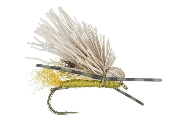 Galloup's Butch Caddis - (#16) 1