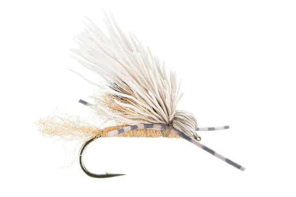 Galloup's Butch Caddis - (#16) 1