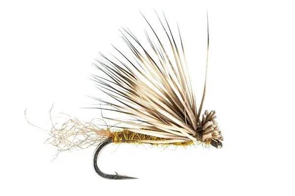 X-Caddis - (#18) 1