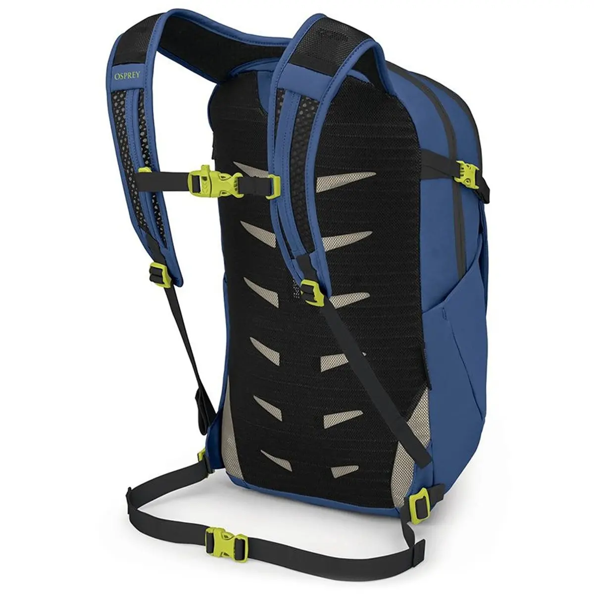 Daylite Plus Earth Backpack 2