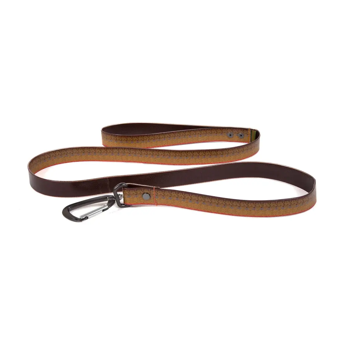 Salty Dog Leash 1