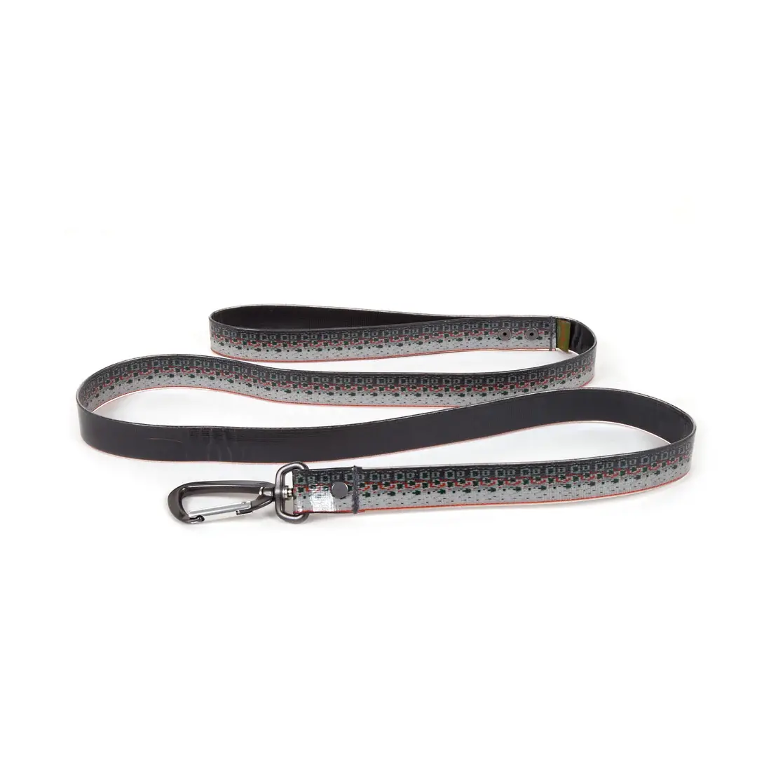 Salty Dog Leash 1