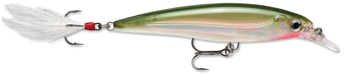 X-Rap 10 Jerkbait - (4 Inch) 1