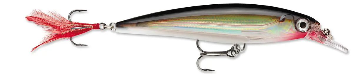 X-Rap 10 Jerkbait - (4 Inch) 1