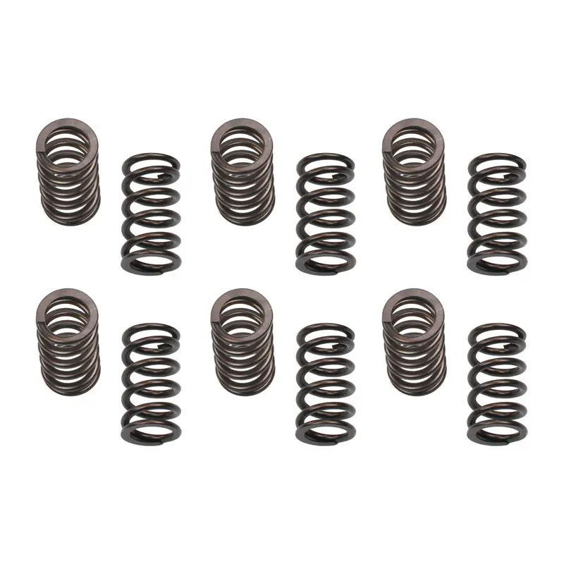 Industrial Injection High-Pressure Valve Spring Kit – 150 Lbs Seat Pressure, Rated To 4500 Rpm 1